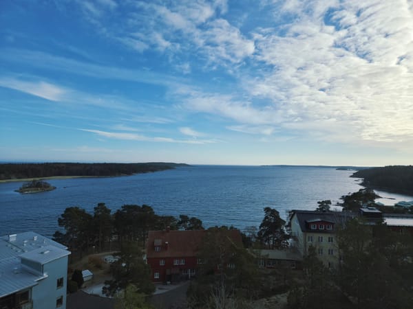 Stockholm, Gud och bortsprungna hundar